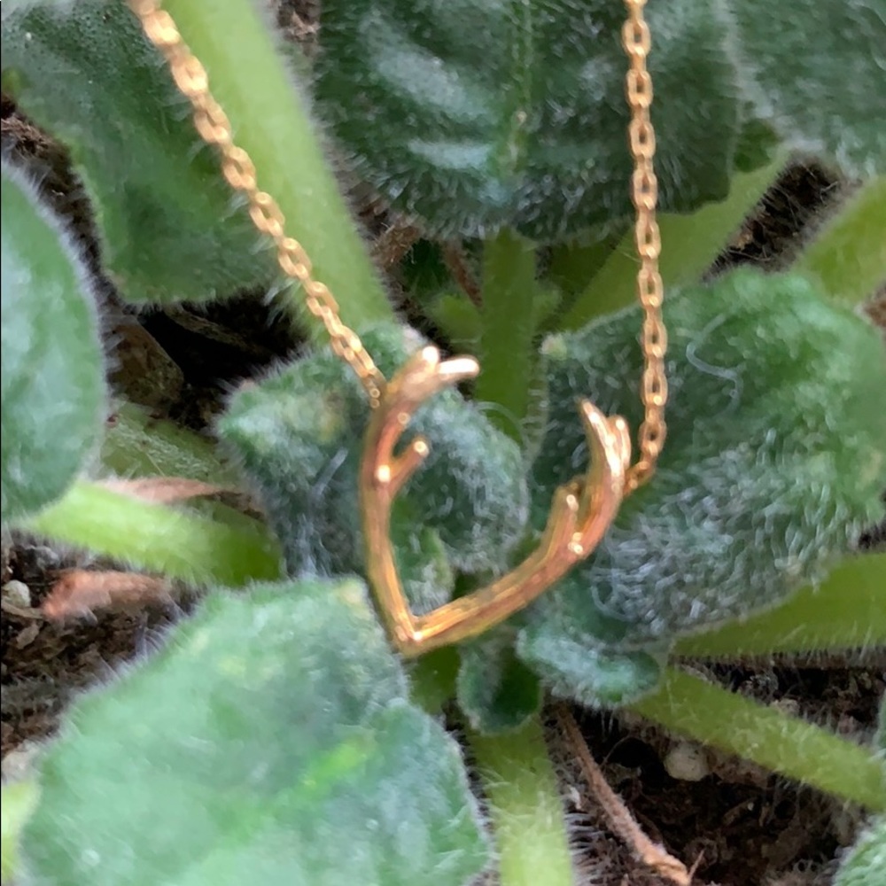 Antler necklace